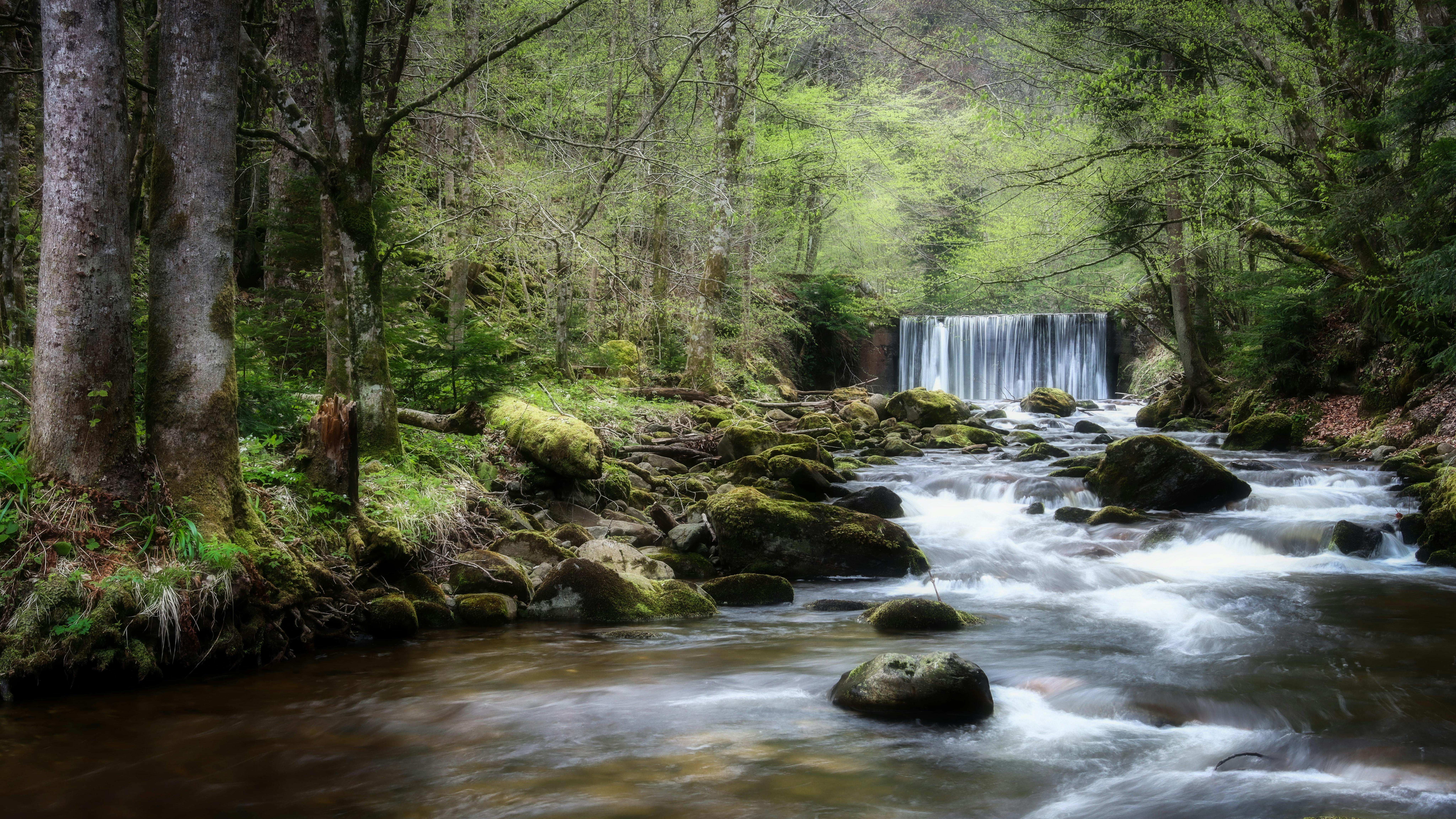 Lobnica Stream